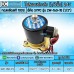 โซลินอยด์วาล์ว 24V (4หุน) รุ่น 2W-160-15 (size 1/2")